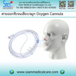 สายออกซิเจนแคนนูล่า/สายออกซิเจนเสียบจมูก (Oxygen Nasal Cannula)