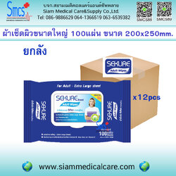 ยกลัง12 ห่อ ผ้าเช็ดผิวสำหรับผู้ใหญ่ Secure ขนาด200x250mm (100แผ่น/ห่อ)