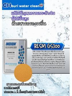 สารกรองเรซิ่น GS300 ประจุ +