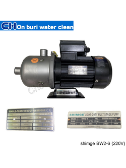 ปั๊ม Multistage แนวนอน SHIMGE BW 2-6 1HP (220V)