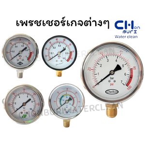 เพรชเชอร์เกจต่างๆ