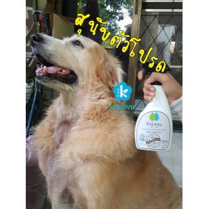 รักษ์หอม สเปรย์กำจัดกลิ่นอเนกประสงค์สูตรญี่ปุ่นโบราณ