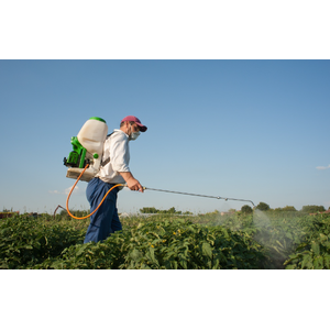 เครื่องพ่นยา [Sprayer]