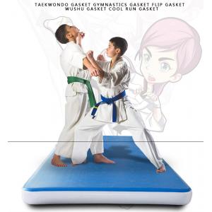 เบาะโรงยิม เบาะเทควันโด