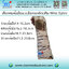 เฝือกพยุงข้อมือแบบมีแกนเหล็กเสริม (Wrist Splint)
