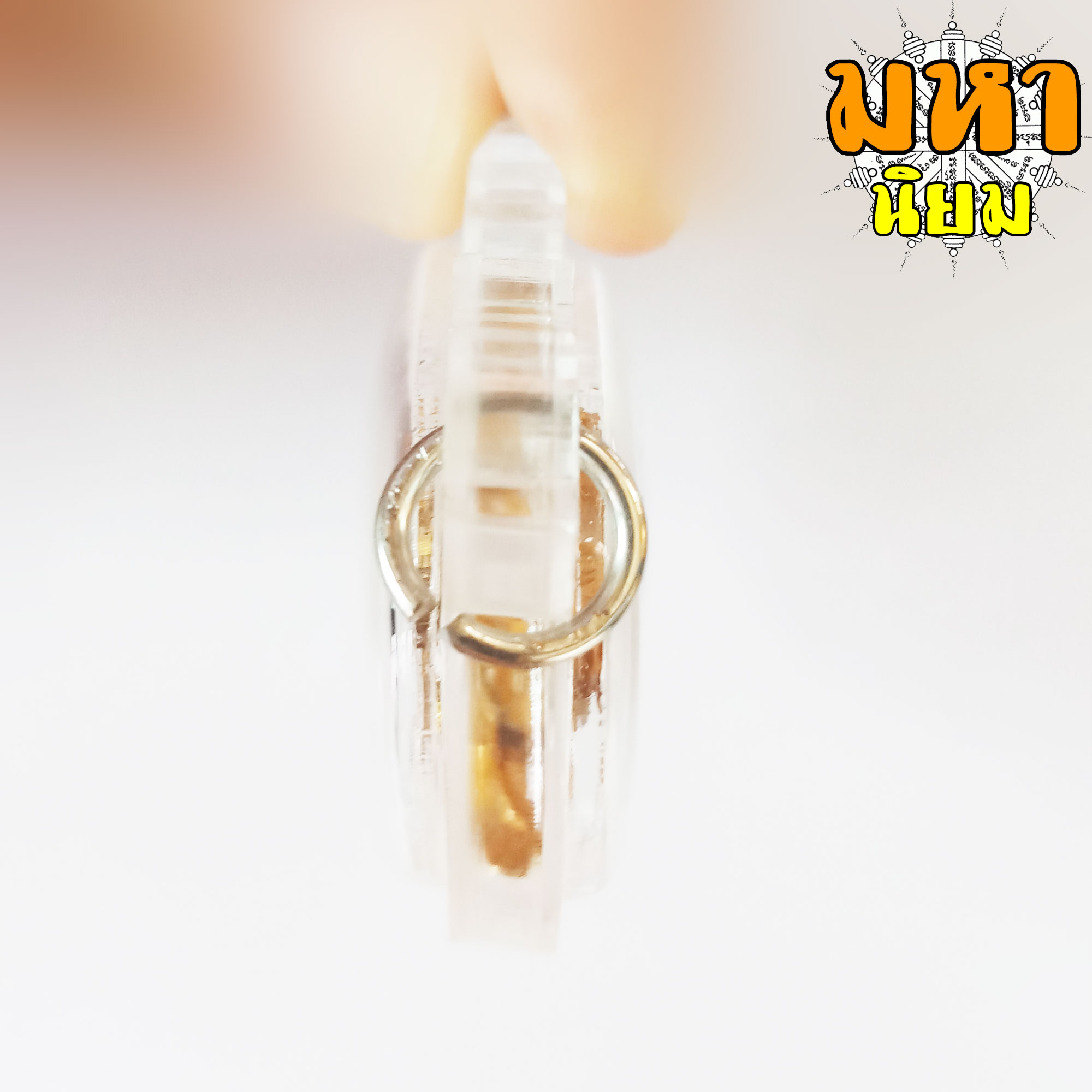 เสือเขาอ้อ พยัคฆ์ราชพุทธาคมเขาอ้อ วัดภูเขาทอง จ.พัทลุง เนื้อนวะโลหะ กะไหล่ทอง เลี่ยมกรอบอย่างดี