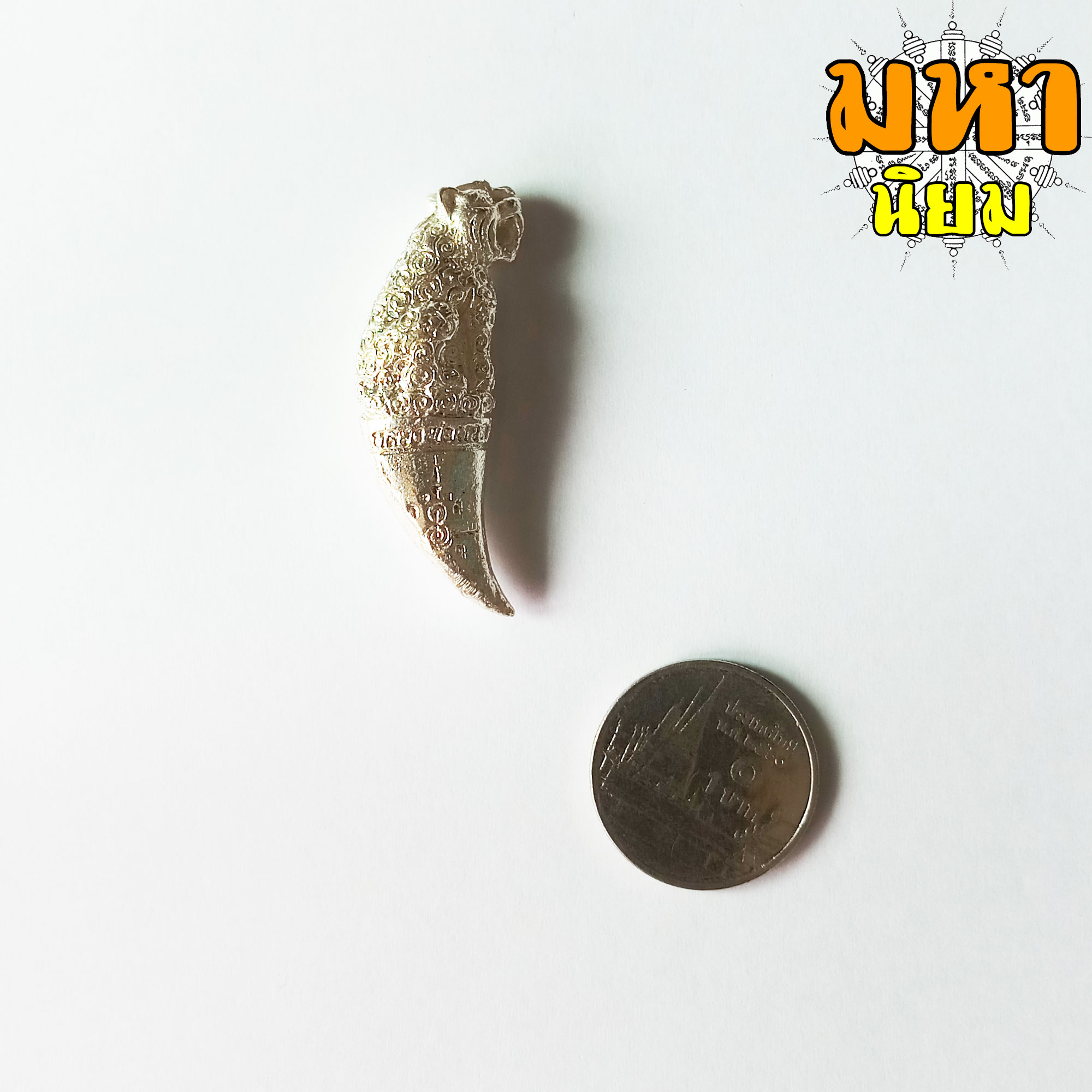 เขี้ยวเสือพุทธาคม หลวงพ่อหวล วัดชาวเหนือ จ.ราชบุรี