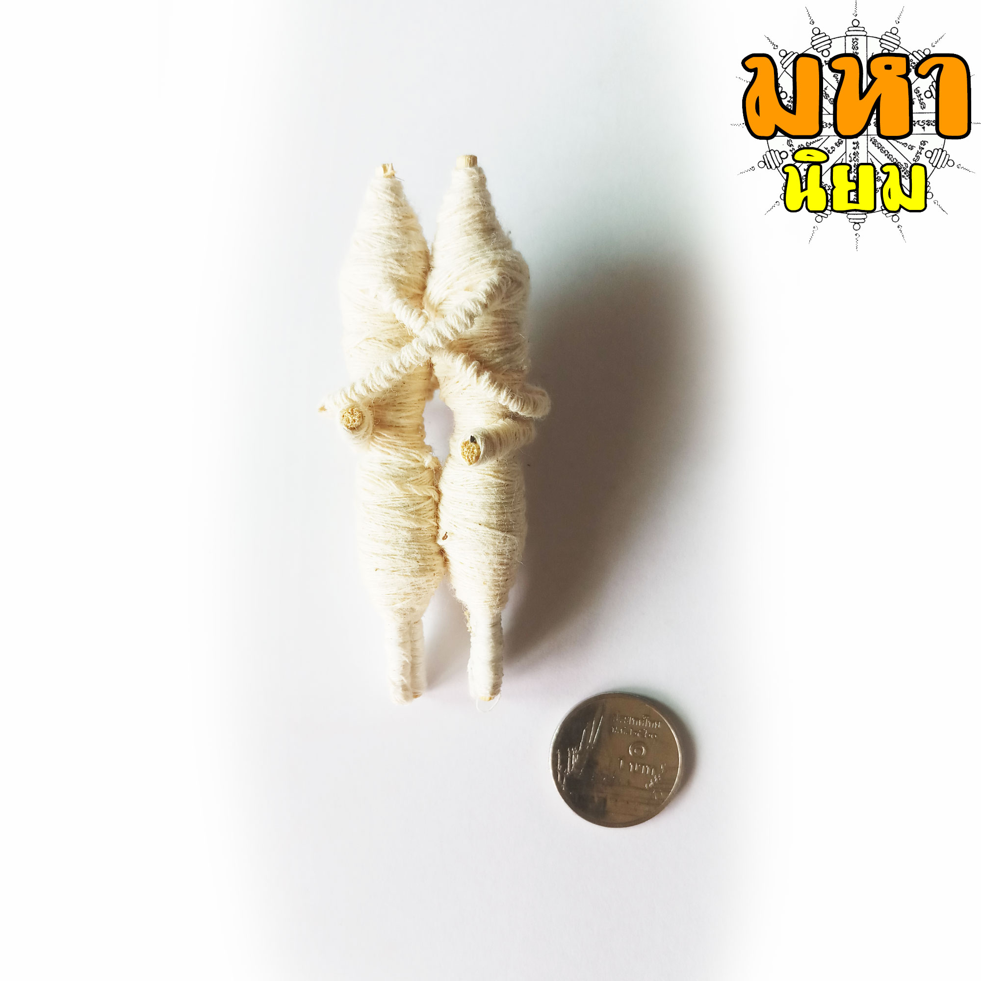 อิ้นคู่ หุ่นพยนต์ ครูบาเดช จ.ลำปาง