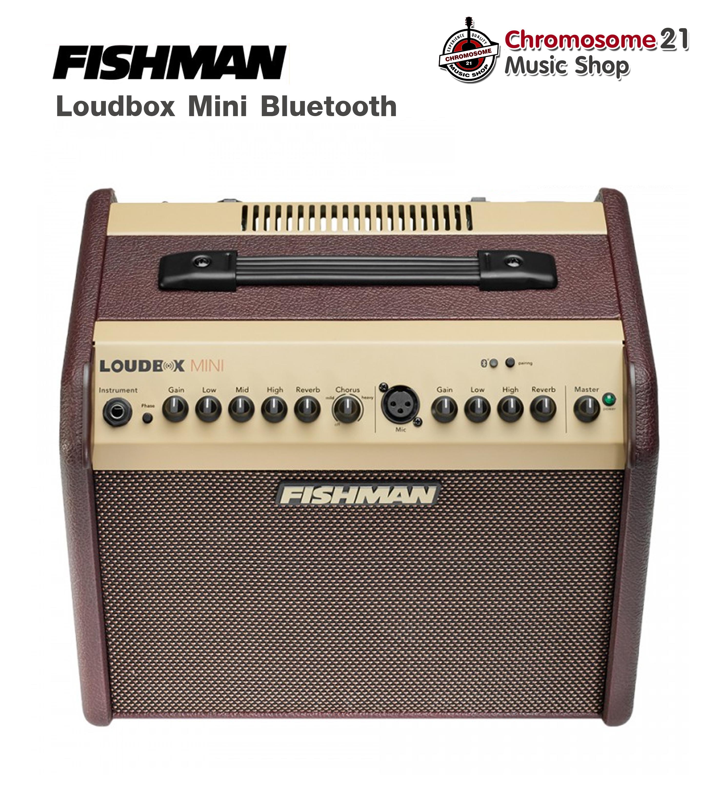 แอมป์อคูสติก Fishman Loudbox Mini Bluetooth
