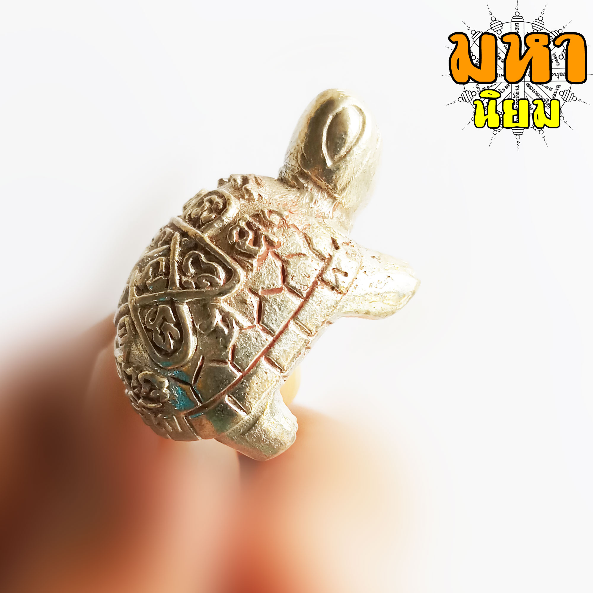 เต่า อิสริโก เนื้อกะไหล่เงิน หลวงปู่ทิม วัดละหารไร่ จ.ระยอง