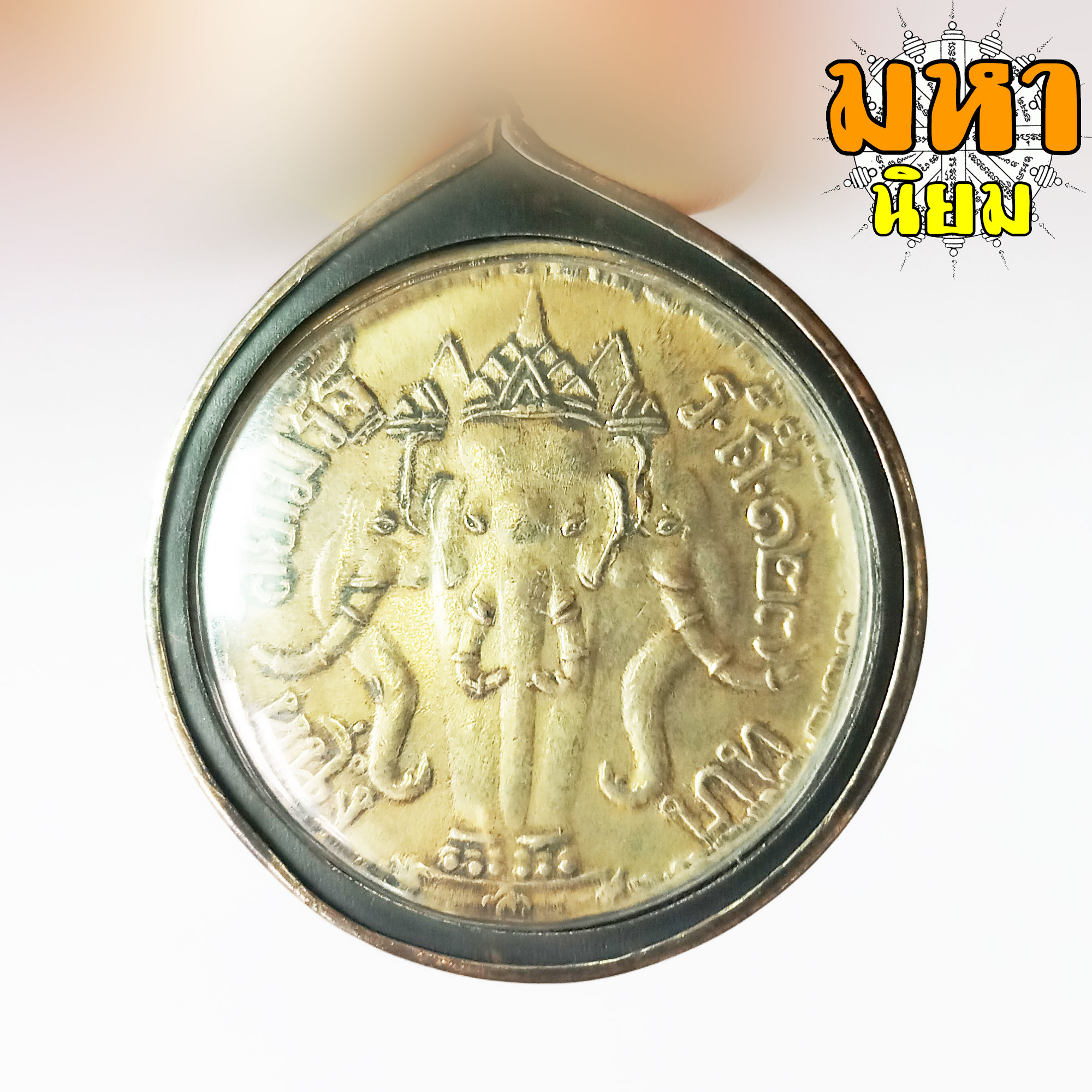 เหรียญจุฬาลงกรณ์ ช้าง 3 เศียร เลี่ยมกรอบโลหะ (ไม่สามารถใช้จ่ายได้)