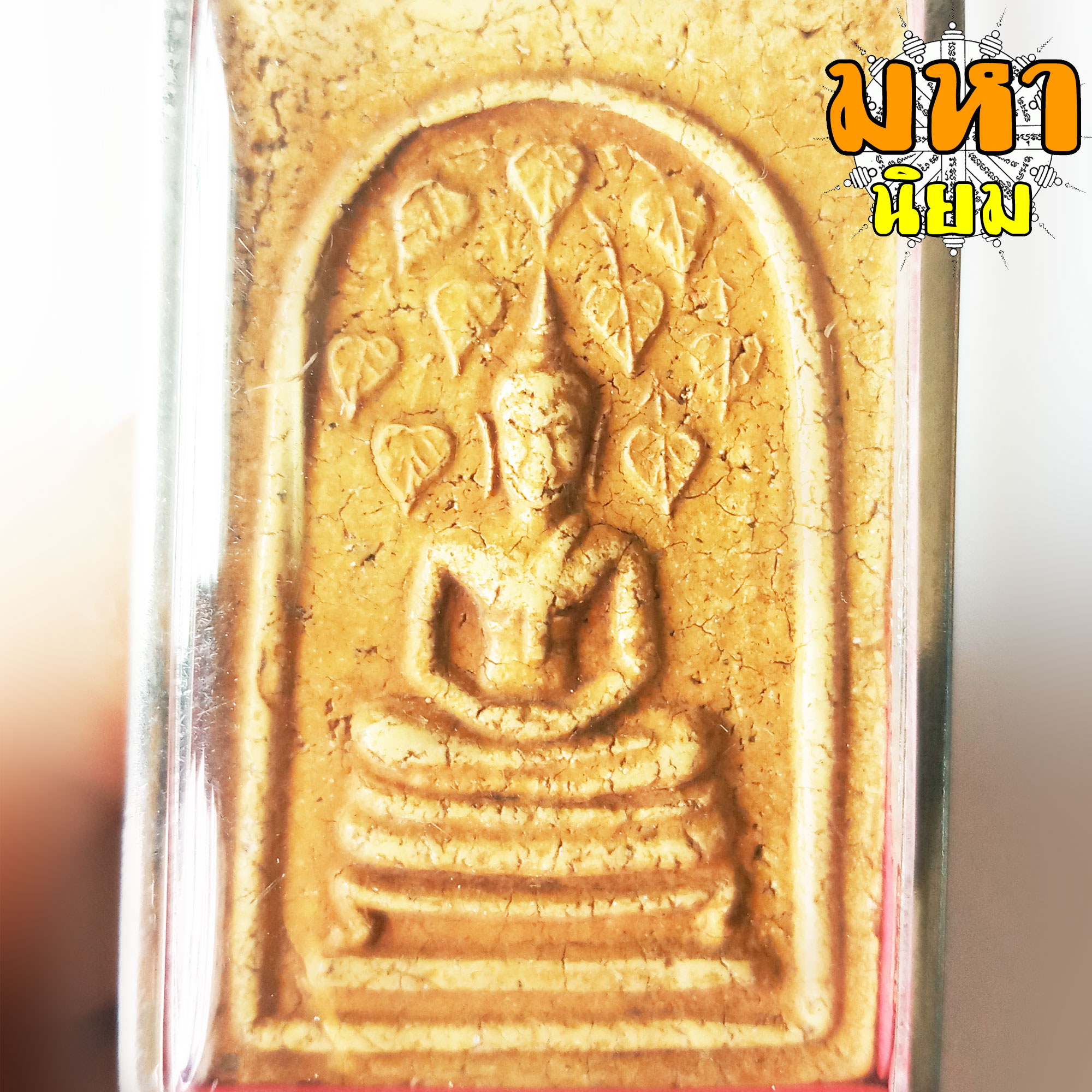 พระสมเด็จ ปรกโพธิ์เก้าใบ หลังพระแม่ธรณี หลวงพ่อกวย วัดโฆสิตาราม จ.ชัยนาท