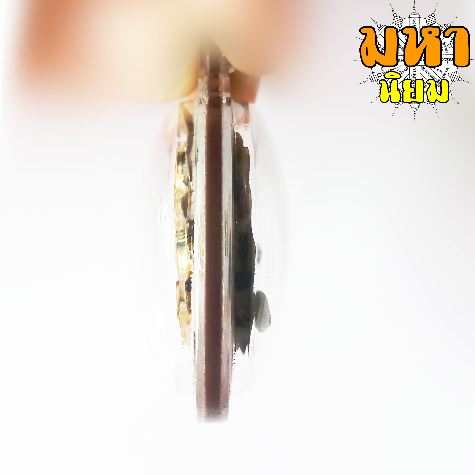 เหรียญกระต่ายเสพนาง กลางสวน เลี่ยมกรอบอย่างดี