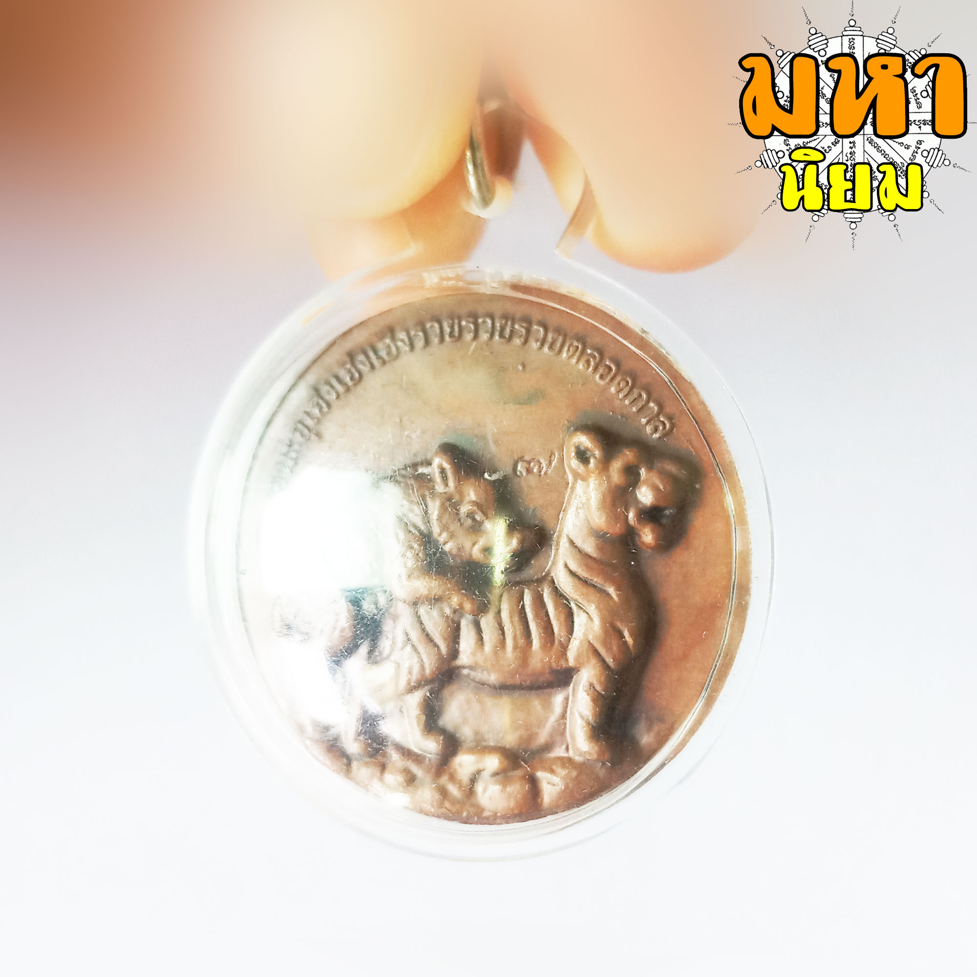 เหรียญหมูเสพเสือ เหรียญหวานหมู หลวงปู่ครูบาคำเป็ง จ.กำแพงเพชร เลี่ยมกรอบอย่างดี