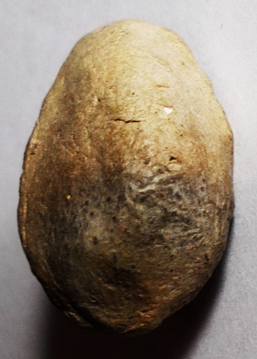 พระถ้ำเสือพิมพ์ต้อ(จิ๋ว) กรุเมืองสุพรรณบุรี