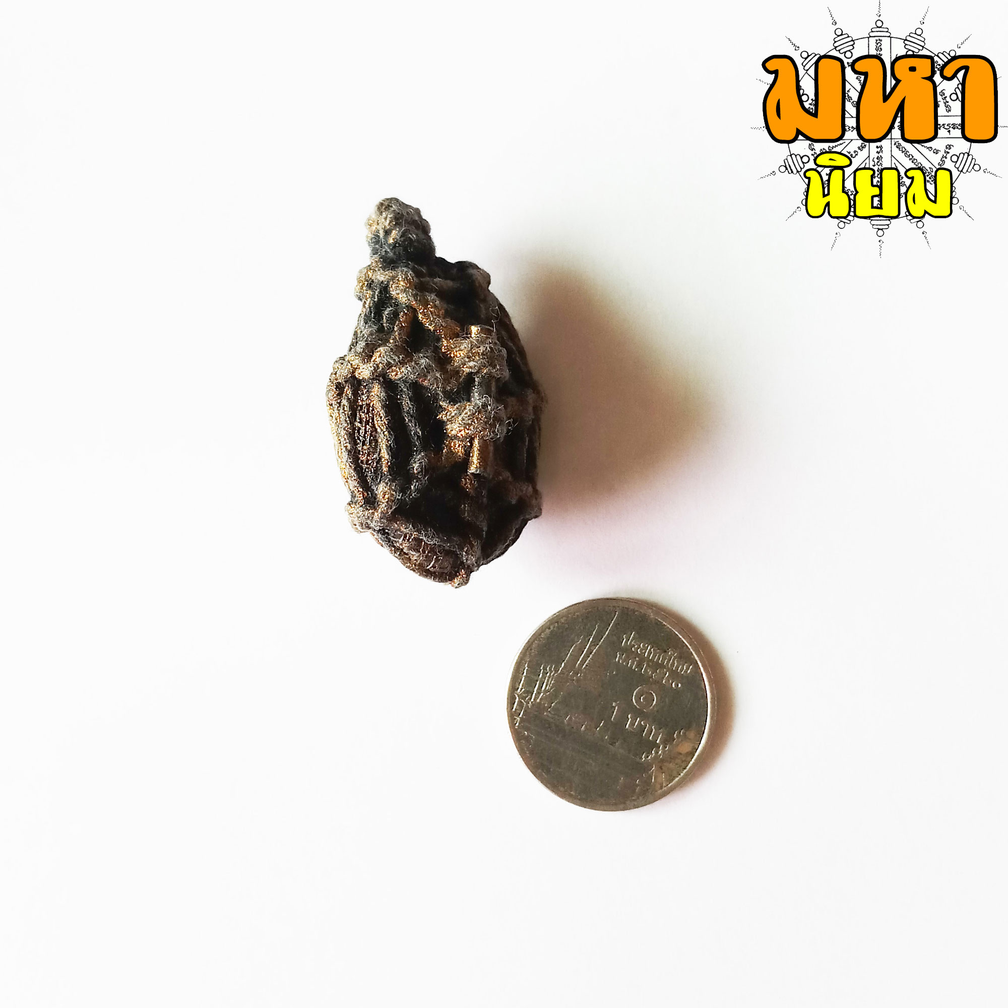 เบี้ยแก้ถักเชือก ตะกรุดหลัง (เขย่าแล้วมีเสียงตะกรุดข้างใน) หลวงปู่บุญ วัดกลางบางแก้ว จ.นครปฐม