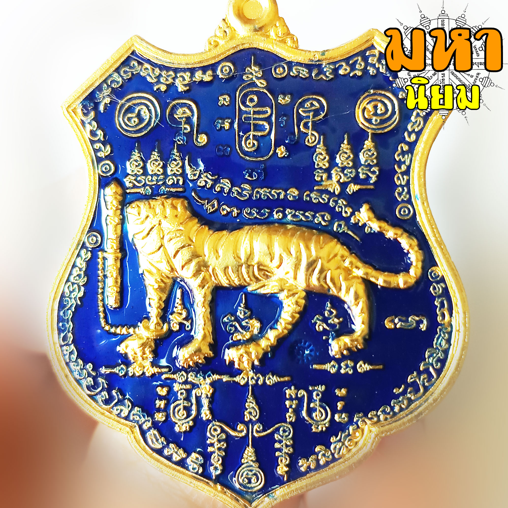 เหรียญเสือหัวขาดตัวหนึ่ง หลวงพ่อไฉน ฉนฺทสาโร จ.ขอนแก่น เนื้อลงยาสี พร้อมกล่องอย่างดี