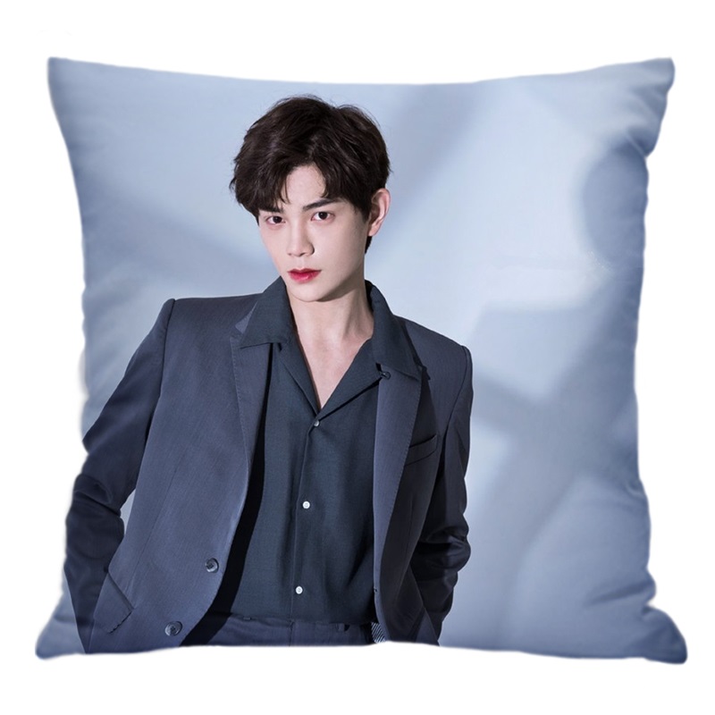 Pre - หมอนลาย ติงอวี่ซี DingYuxi ดาราจีน