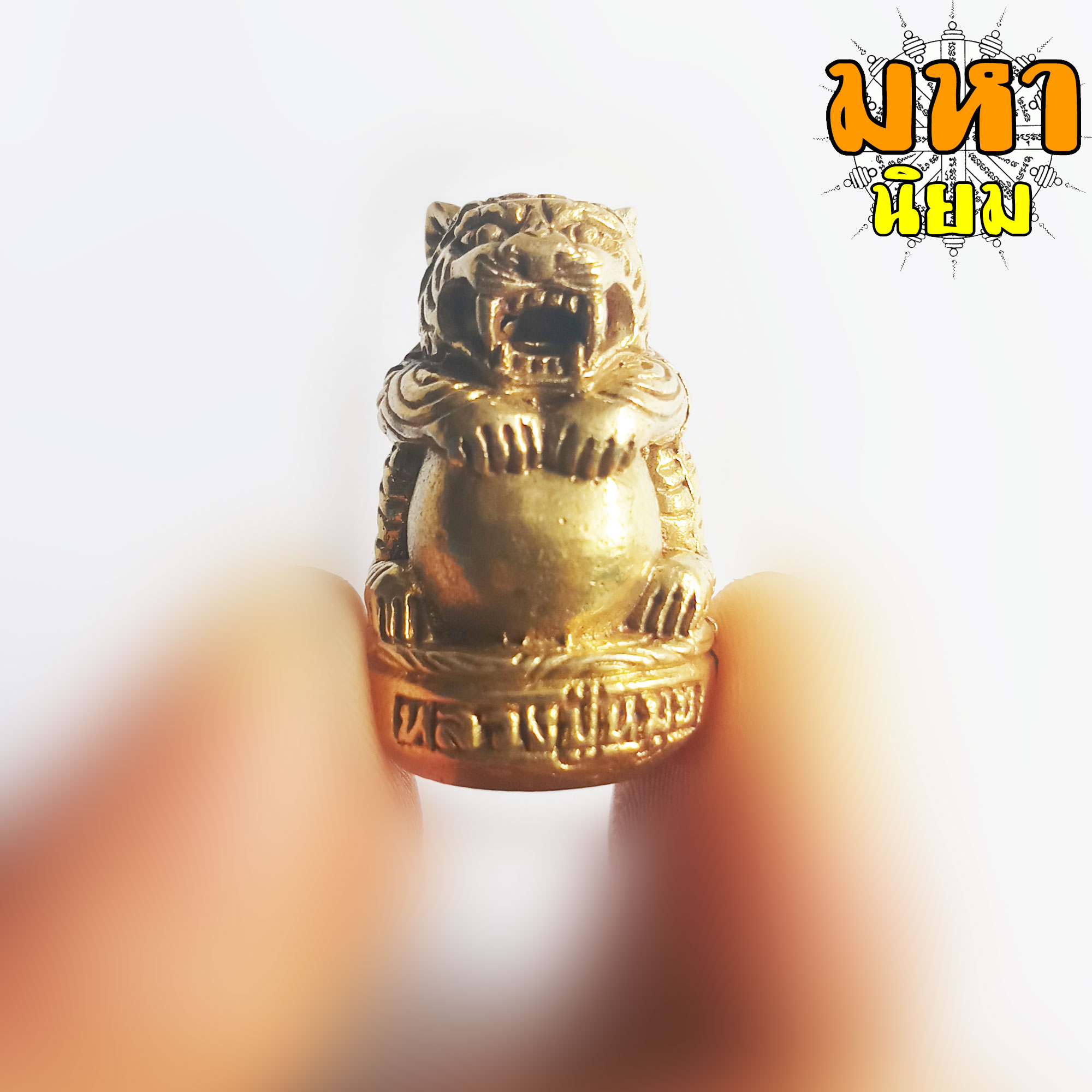 เสือเศรษฐี หลวงปู่หมุน วัดบ้านจาน จ.ศรีสะเกษ เนื้อกะไหล่ทอง