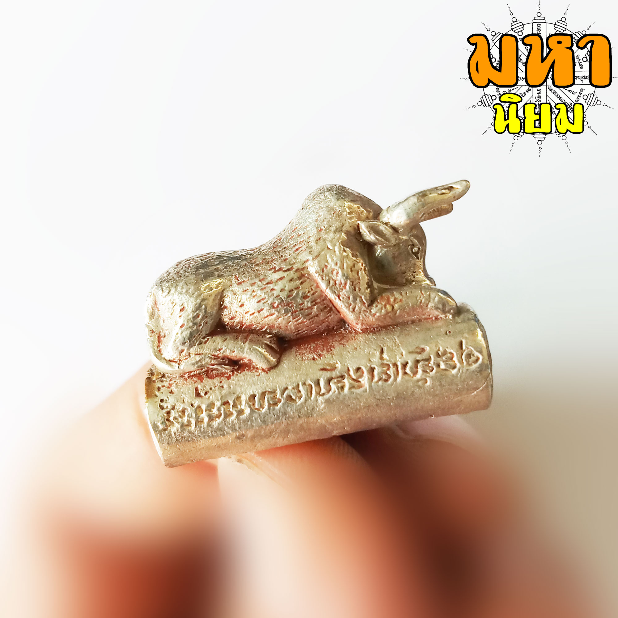 ตะกรุด วัวกระทิง หลวงพ่อเปิ่น วัดบางพระ จ.นครปฐม