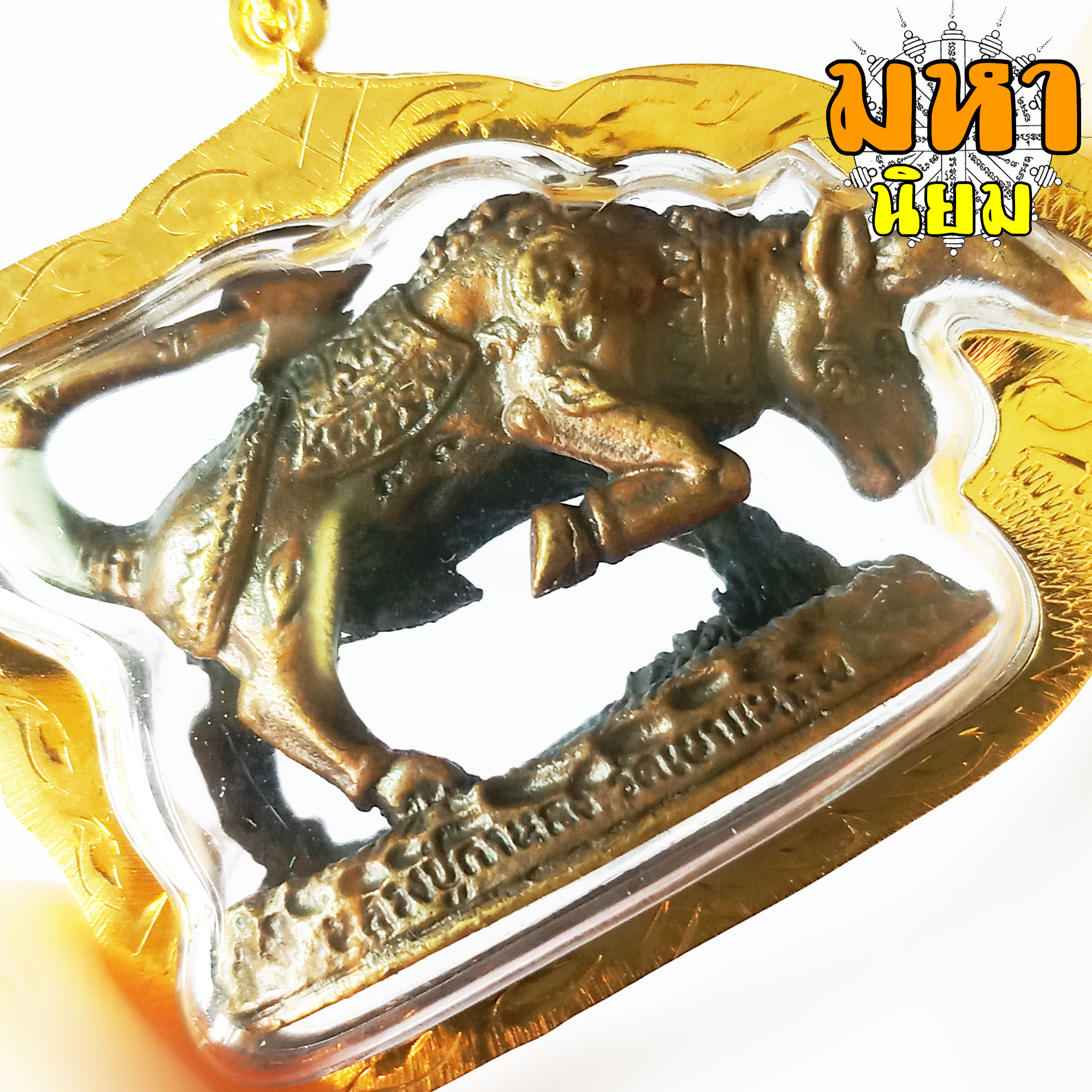 วัวธนูทอง คะนองฤทธิ์ หลวงปู่กาหลง วัดเขาแหลม จ.สระแก้ว