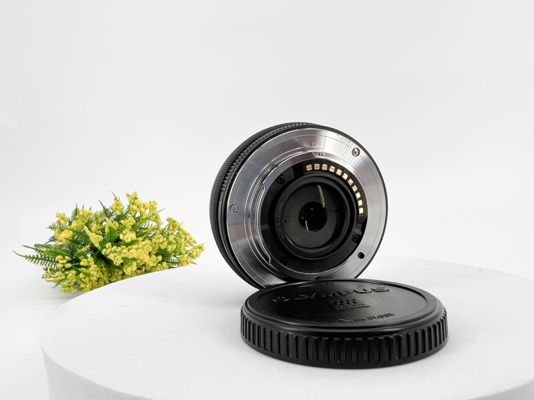 Olympus PEN E-PL8 + Lens 14-42 mm.