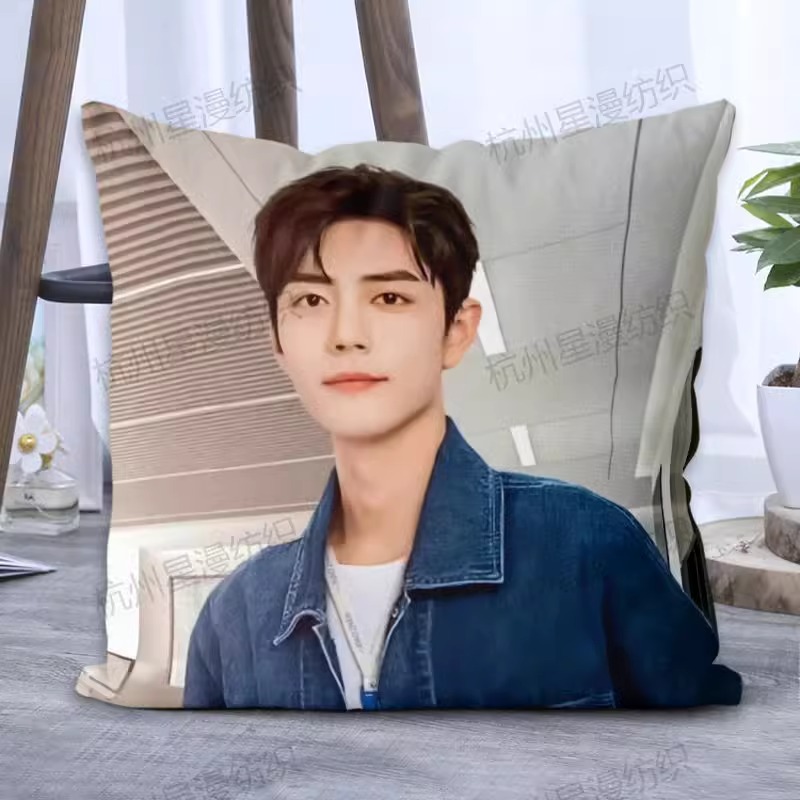 Pre - หมอนลาย เซียวจ้าน Xiaozhan 40 ซม.