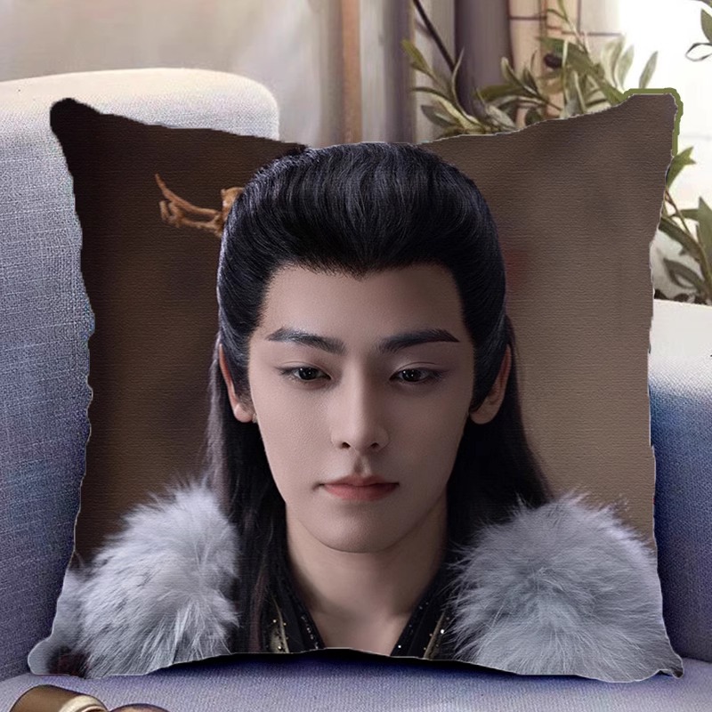 Pre - หมอนลาย โหวหมิงฮ่าว HouMinghao (ไม่ใช่สินค้าอฟช.) 40 cm.