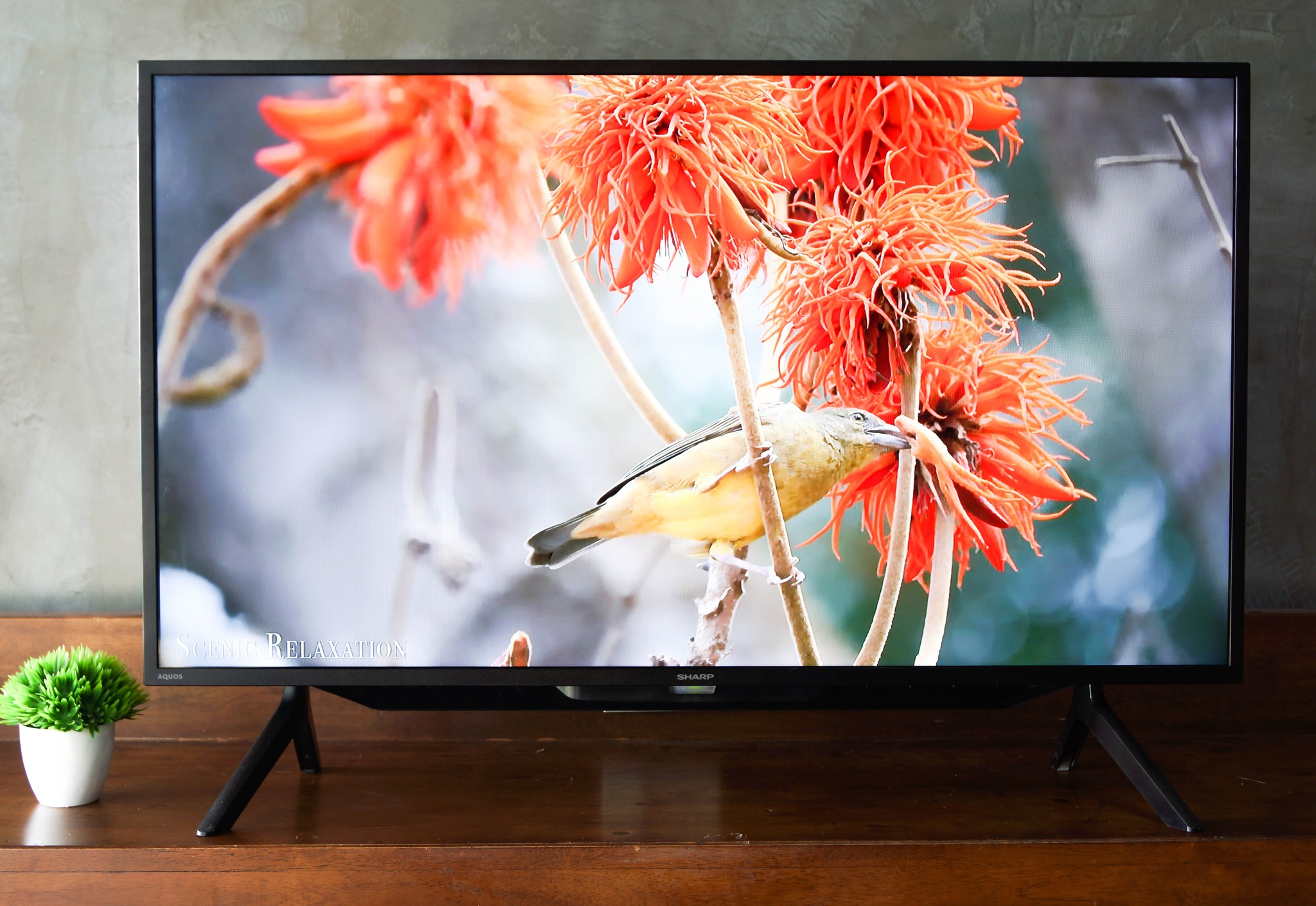 SHARP ทีวี FHD LED (42", Android) รุ่น 2T-C42BG1X
