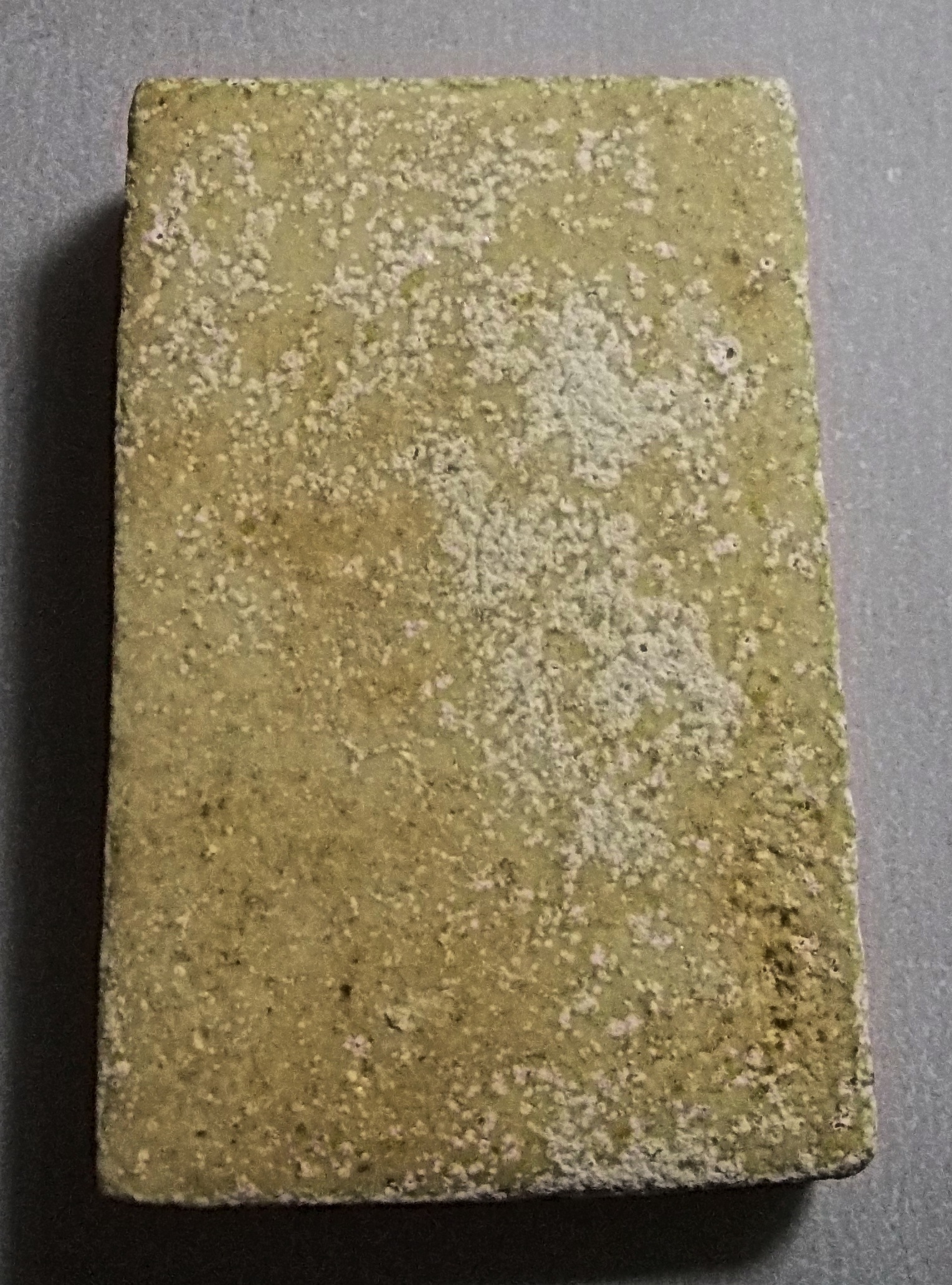 สมเด็จทรงเสือคู่ ปี 2511พ่อท่านห้วง วัดสระโพธิ์ จ.นครศรธรรมราช ปี 2511 #lnw976