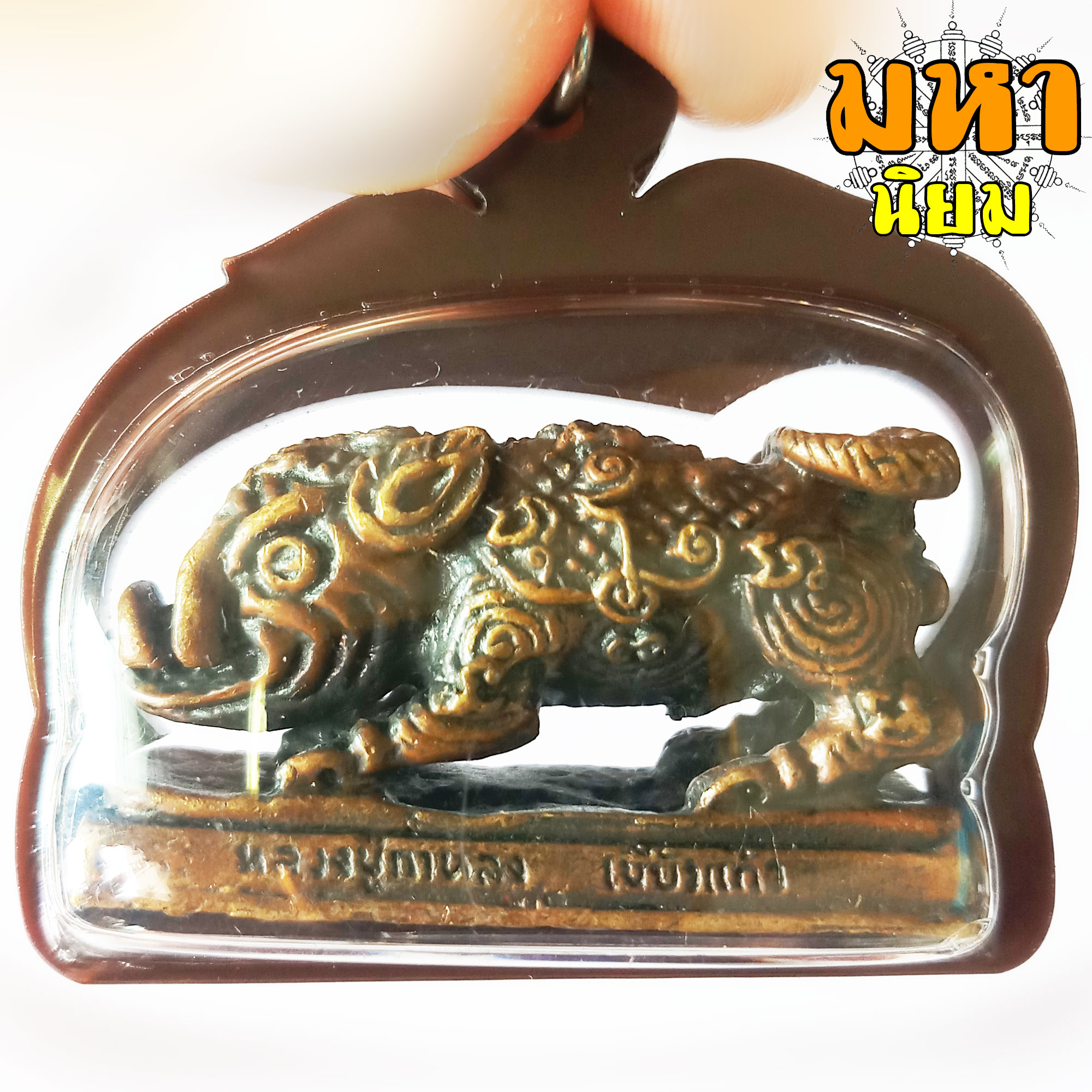 พญาหมู พลิกแผ่นดิน หลวงปู่กาหลง เขี้ยวแก้ว วัดเขาแหลม จ.สระแก้ว