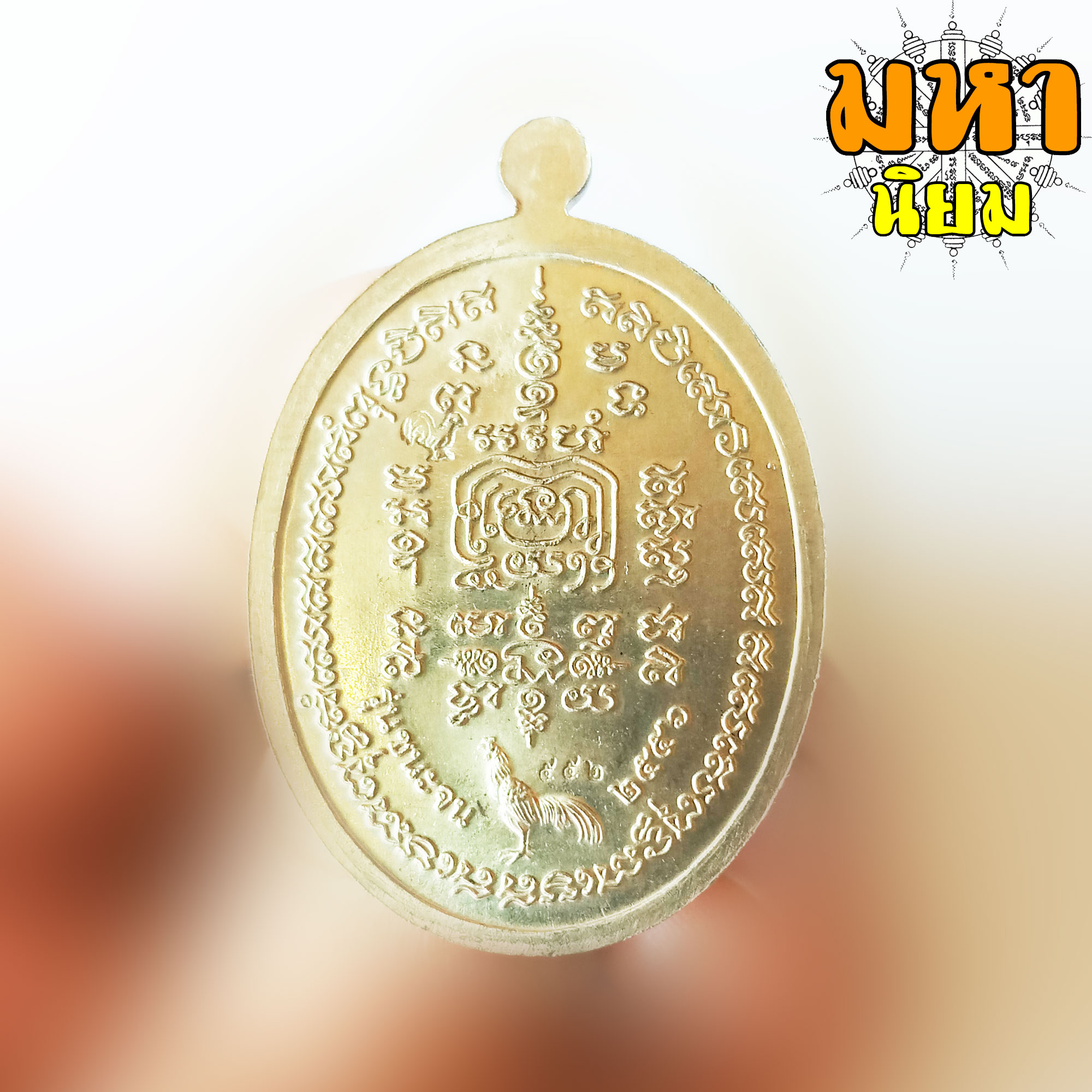 เหรียญชนะจน เนื้อเงินลงยา หลวงพ่อรวย ปาสาทิโก วัดตะโก จ.อยุธยา พร้อมกล่องอย่างดี