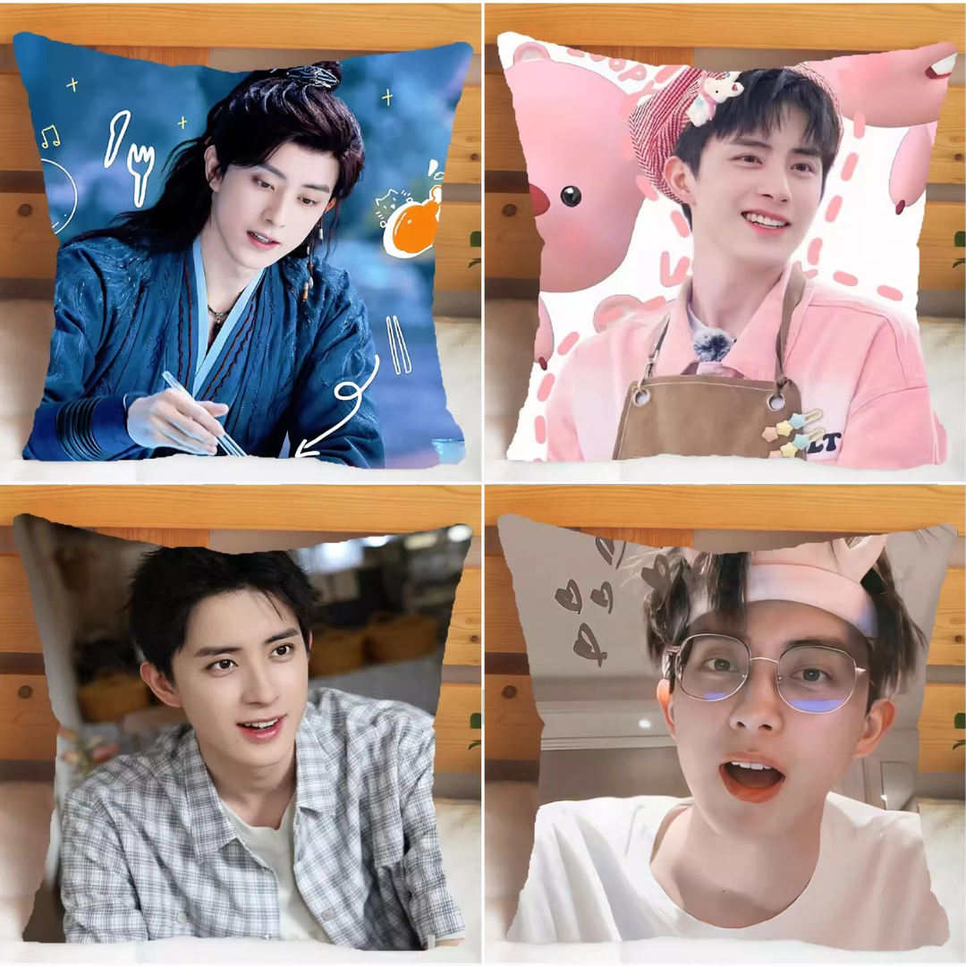 Pre - หมอนลาย อ๋าวรุ่ยเผิง AoRuipeng 40 cm.(ไม่ใช่สินค้าอฟช.)