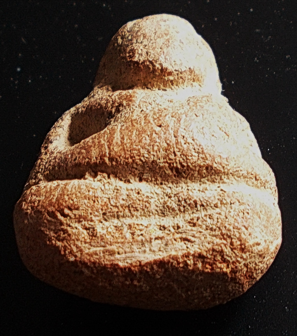 พระสังกัจจายน์ เนื้อดินบรรจุกริ่ง กรุคลองทรงกระเทียม