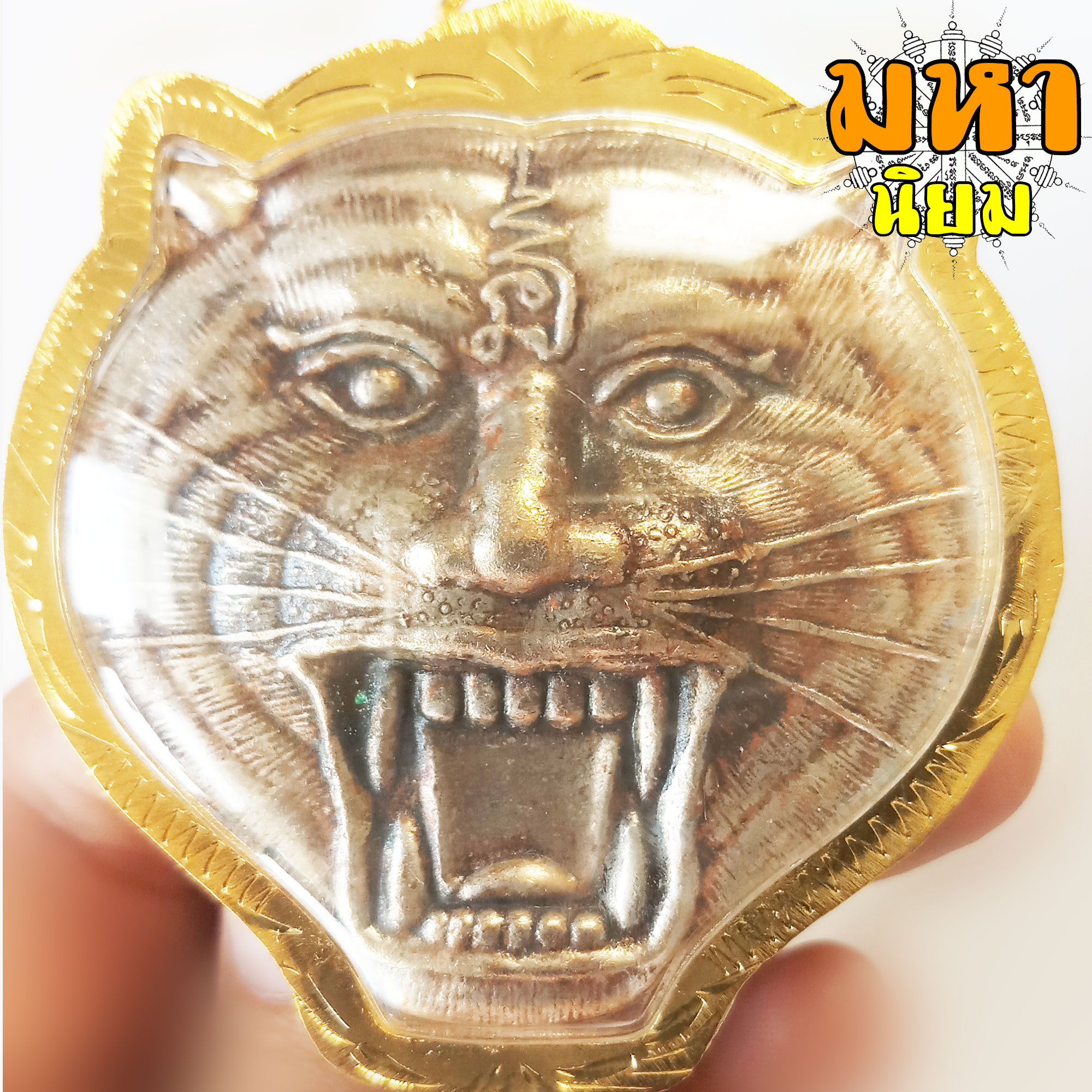 เหรียญหน้าเสือ (องค์ใหญ่) หลวงพ่อเปิ่น วัดบางพระ กรอบทองไมครอน