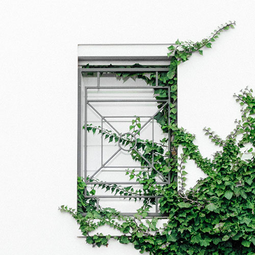 Artificial potted plant E