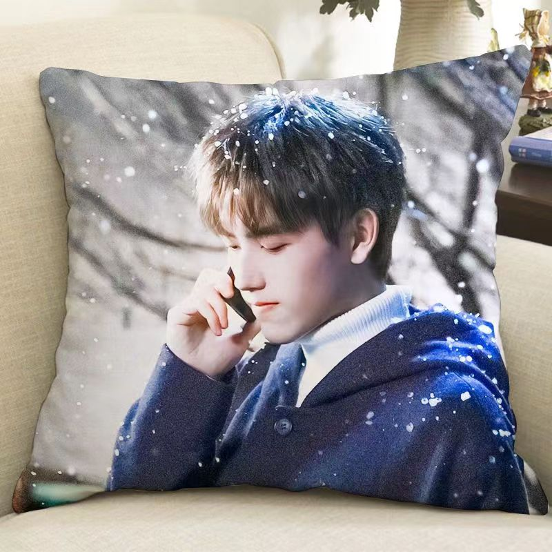 Pre - หมอนลายเฉินเฟยอวี่ ChenFeiyu ซีรี่ส์จีน