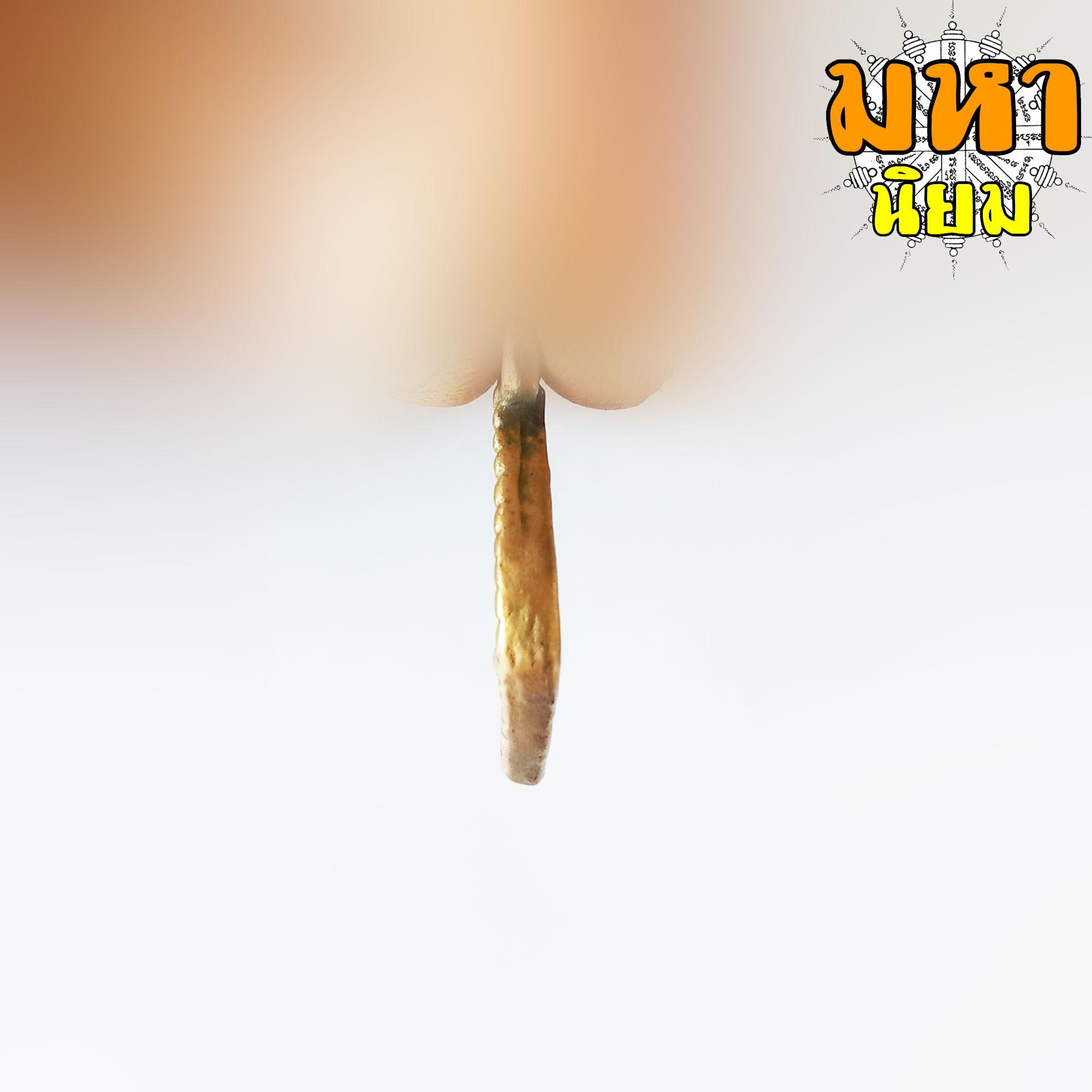 เหรียญนางกวัก ข้างรัศมี หลังเต่า หลวงพ่อพรหมสร (รอด) วัดบ้านไพร จ.นครราชสีมา ไม่ทราบที่มาแน่ชัด