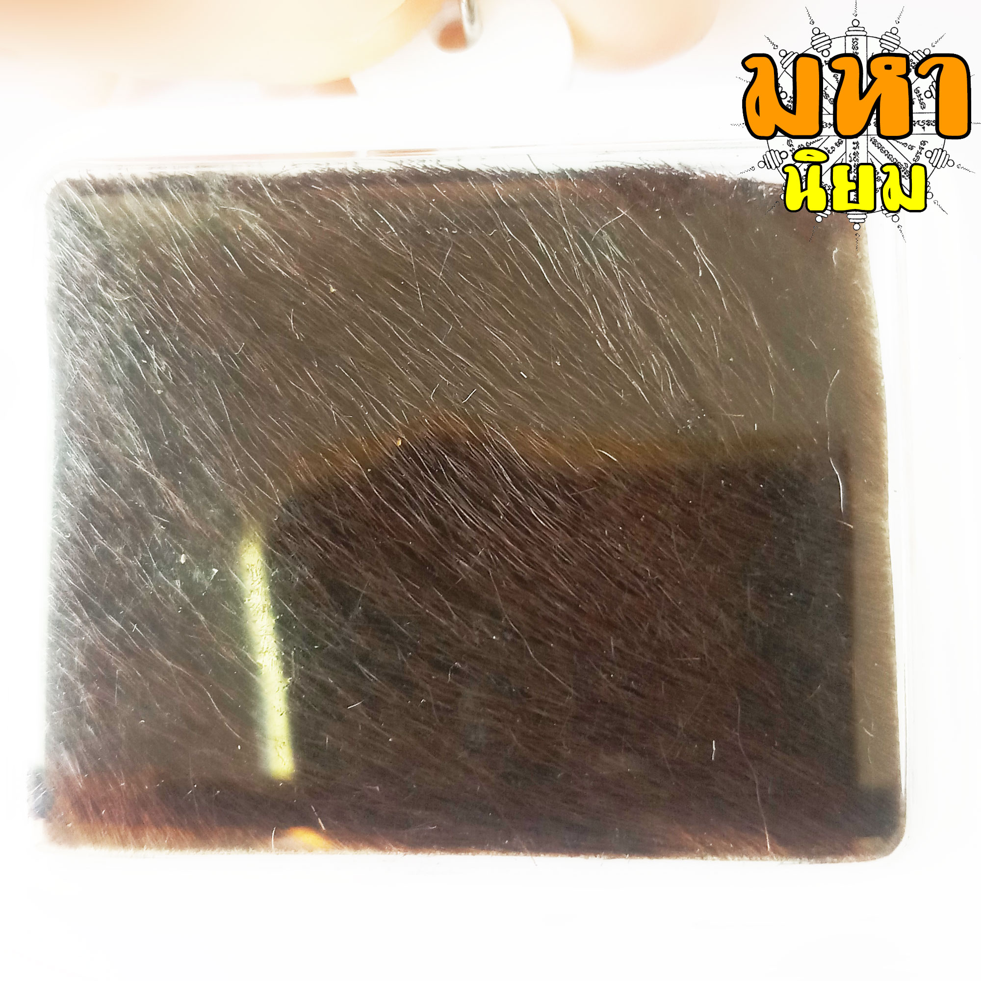 แผ่นหนังเสือ (เสือไฟ) ลงหมึกจารกำกับ ลายเสือเผ่น หลวงพ่อเปิ่น วัดบางพระ จ.นครปฐม เลี่ยมกรอบอย่างดี