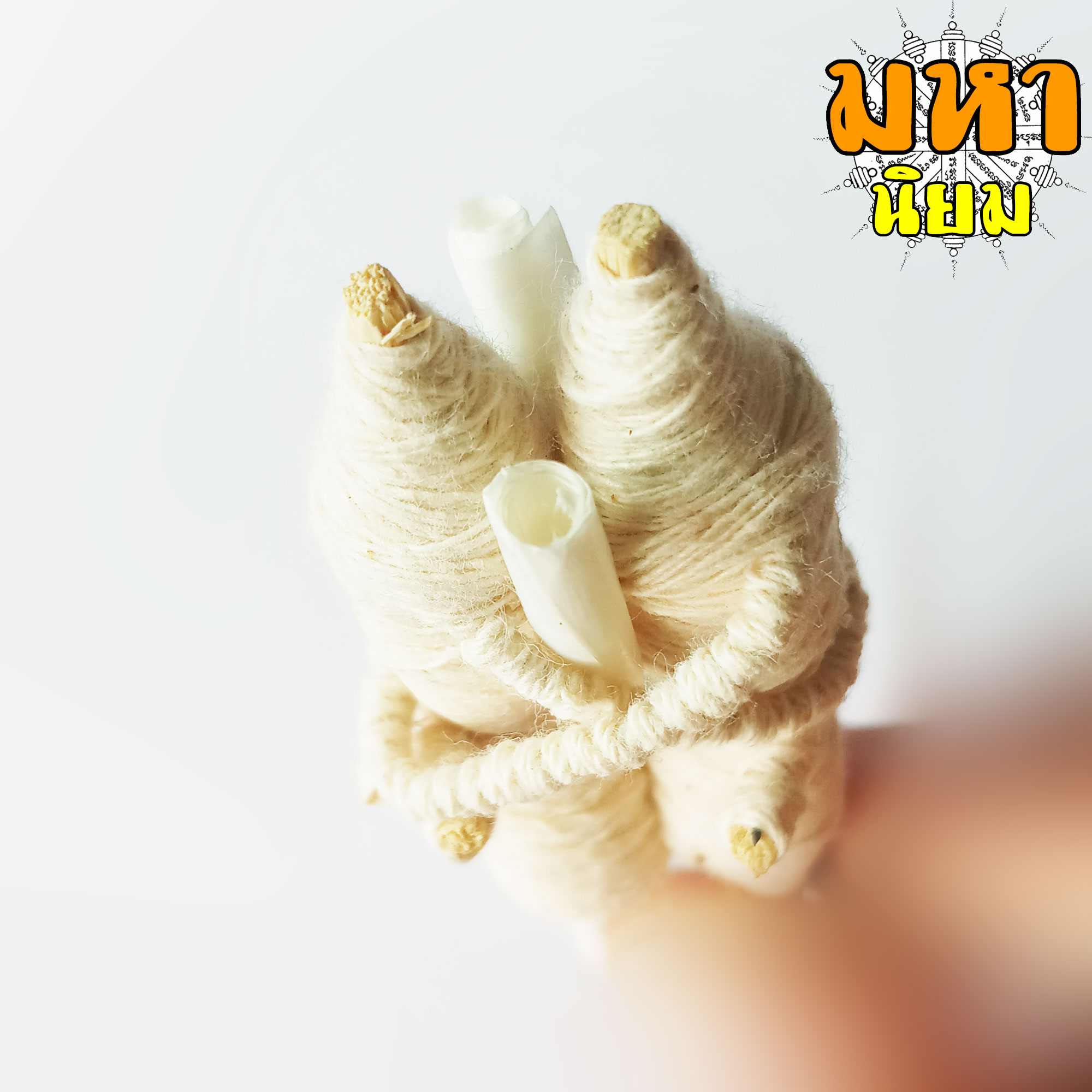 อิ้นคู่ หุ่นพยนต์ ครูบาเดช จ.ลำปาง