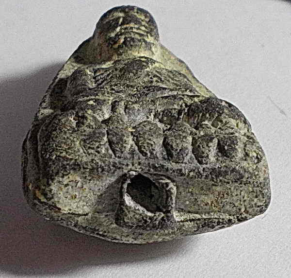 ลป.ทวด พิมพ์ใหญ่ เนื้อเทา วัดประสาท ปี 06