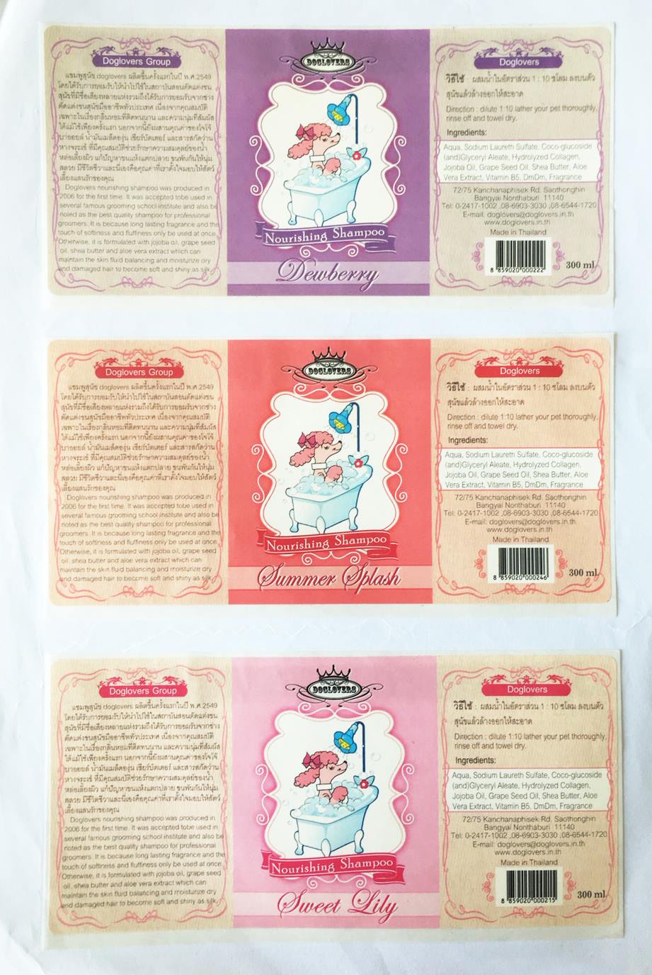 สติ๊กเกอร์ ฉลากสินค้าสำหรับการผลิตจำนวนมาก, สายการผลิต, โรงงาน