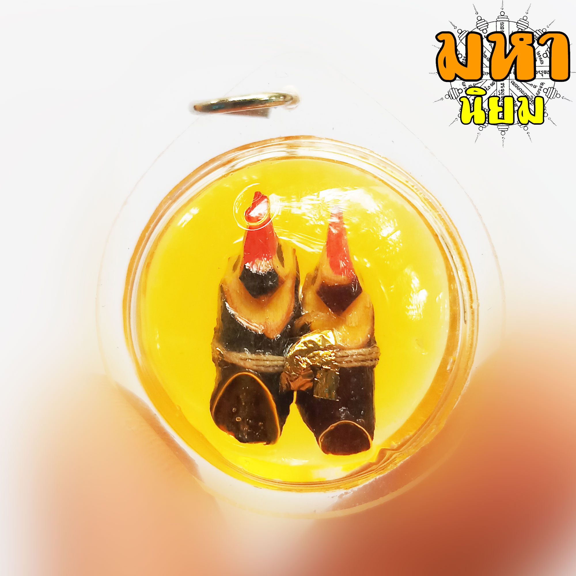 สาริกาลิ้นทอง แช่น้ำมันมนต์ เลี่ยมกรอบอย่างดี