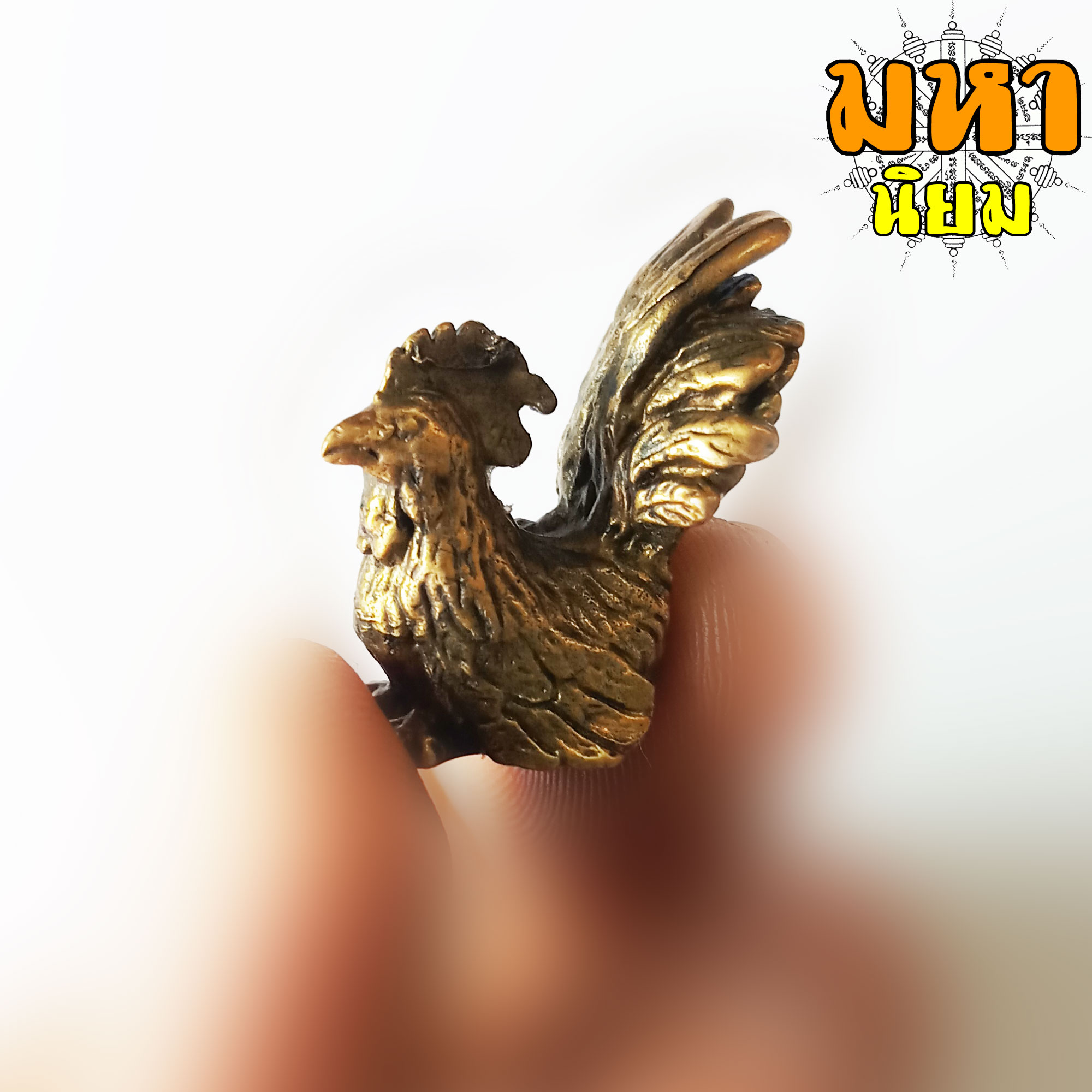 ไก่นำโชค เนื้อทองเหลือง