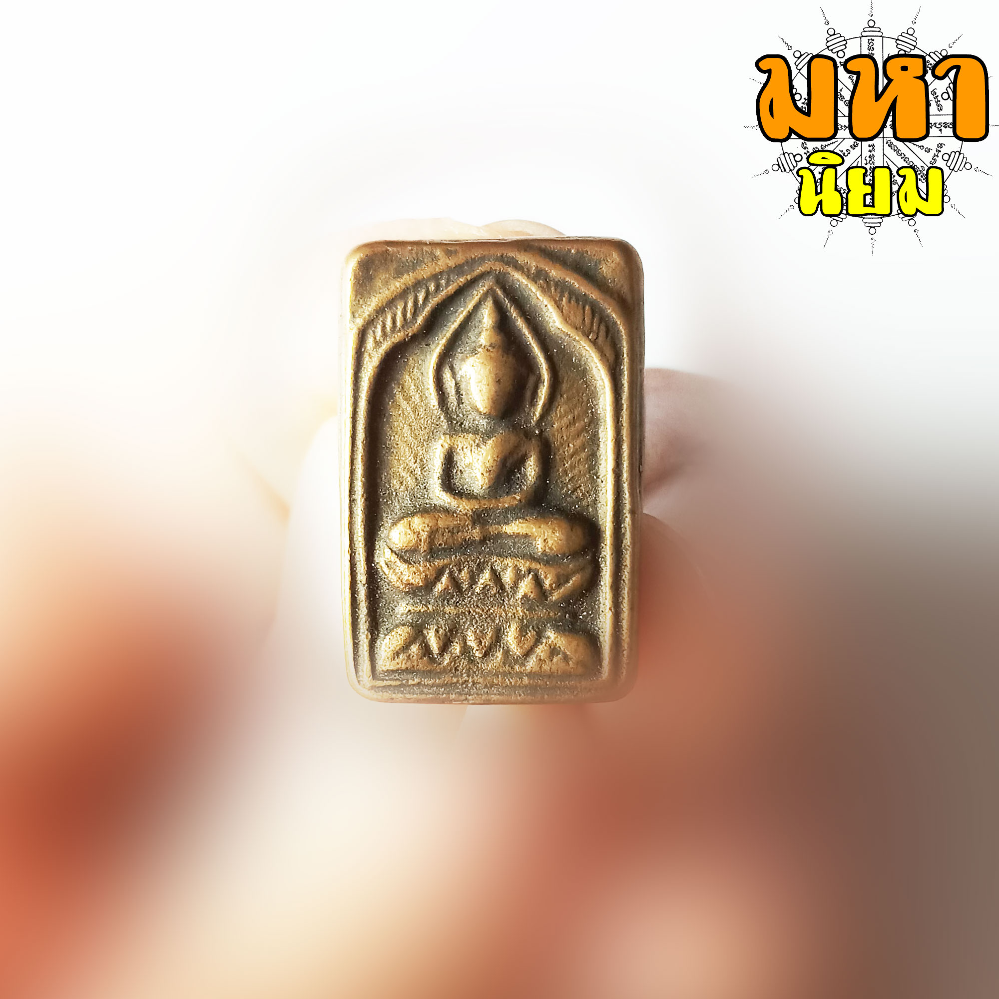 พระหลวงปู่ศุข พิมพ์ประภามลฑลรัศมี วัดคลองมะขามเฒ่า จ.ชัยนาท