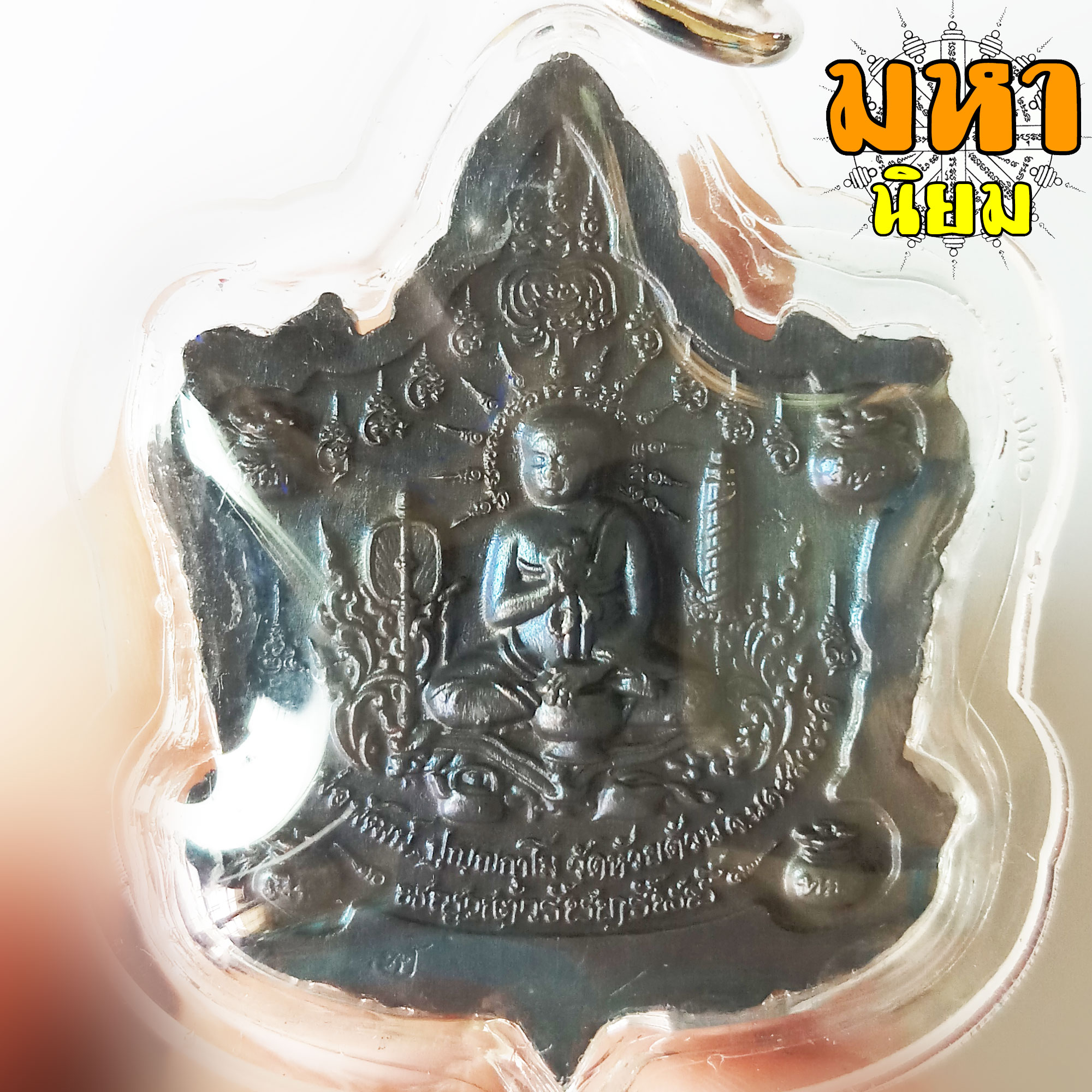 เหรียญพญาเต่ารับทรัพย์ หลวงพ่อพัฒน์ ปุญฺญกาโม วัดห้วยด้วน จ.นครสวรรค์ เนื้อนวะโลหะรมดำ เลี่ยมกรอบอย่างดี