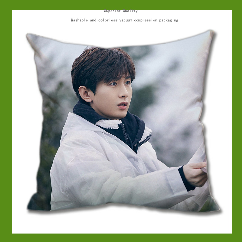 Pre - หมอนลายเฉิงอี้ ChengYi 40 cm หมอนดารา