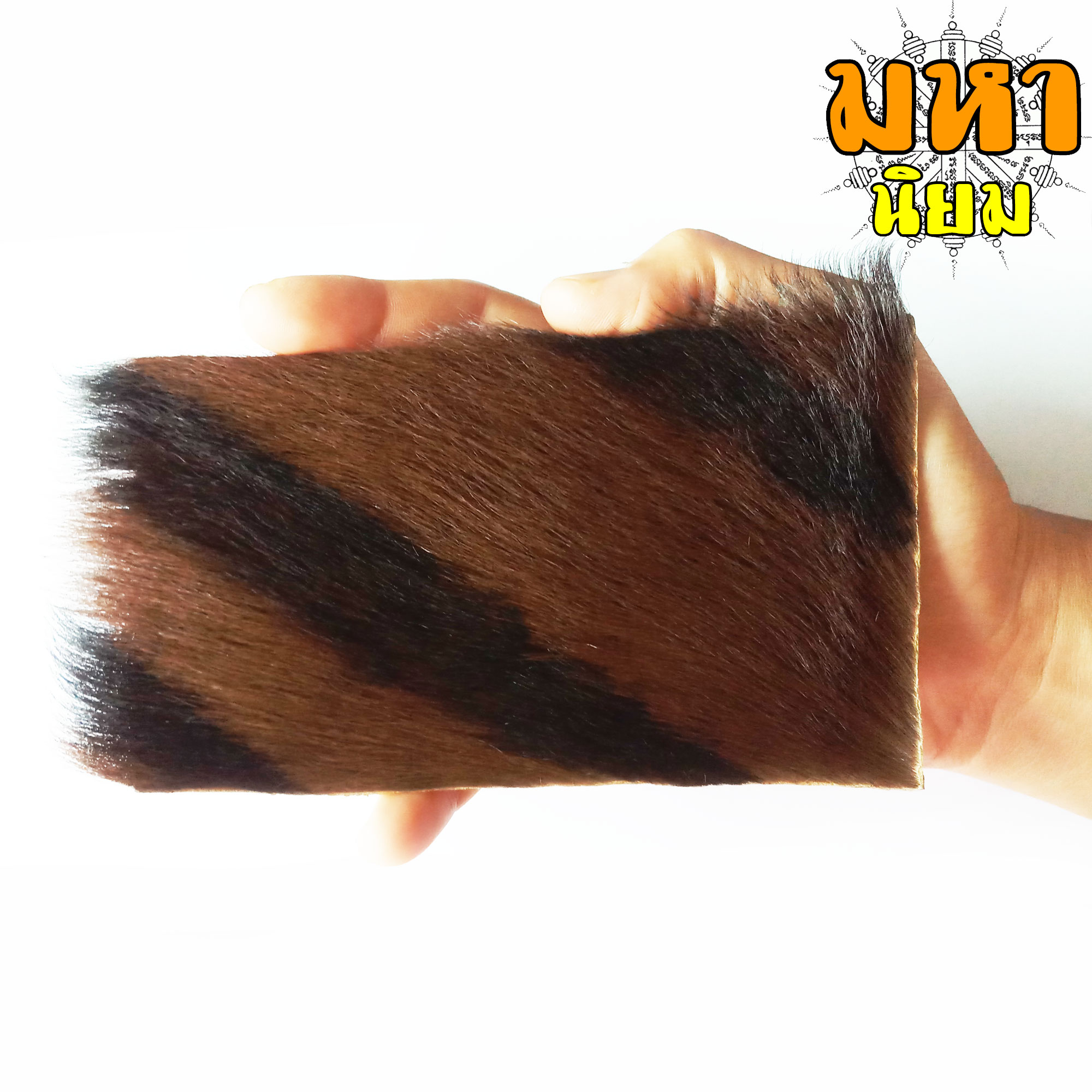 แผ่นหนังเสือ (เสือไฟ) ลงหมึกจารกำกับ เสือตะปบทรัพย์ หลวงพ่อคง วัดบางกะพ้อม จ.สมุทรสงคราม