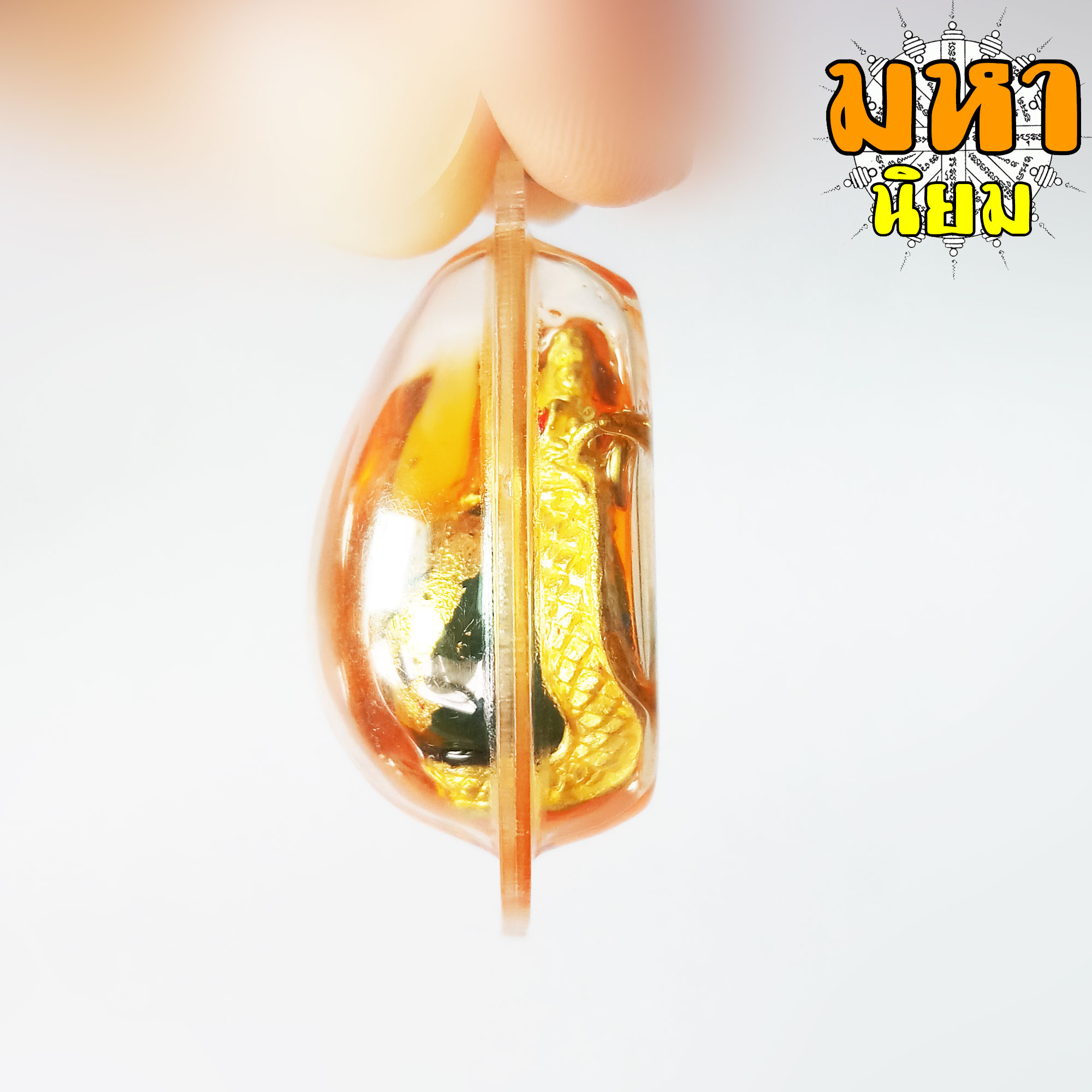 พญานาค คาบลูกแก้ว แช่น้ำมันจันทร์ วัดป่าคำชะโนด จ.อุดรธานี เลี่ยมกรอบอย่างดี