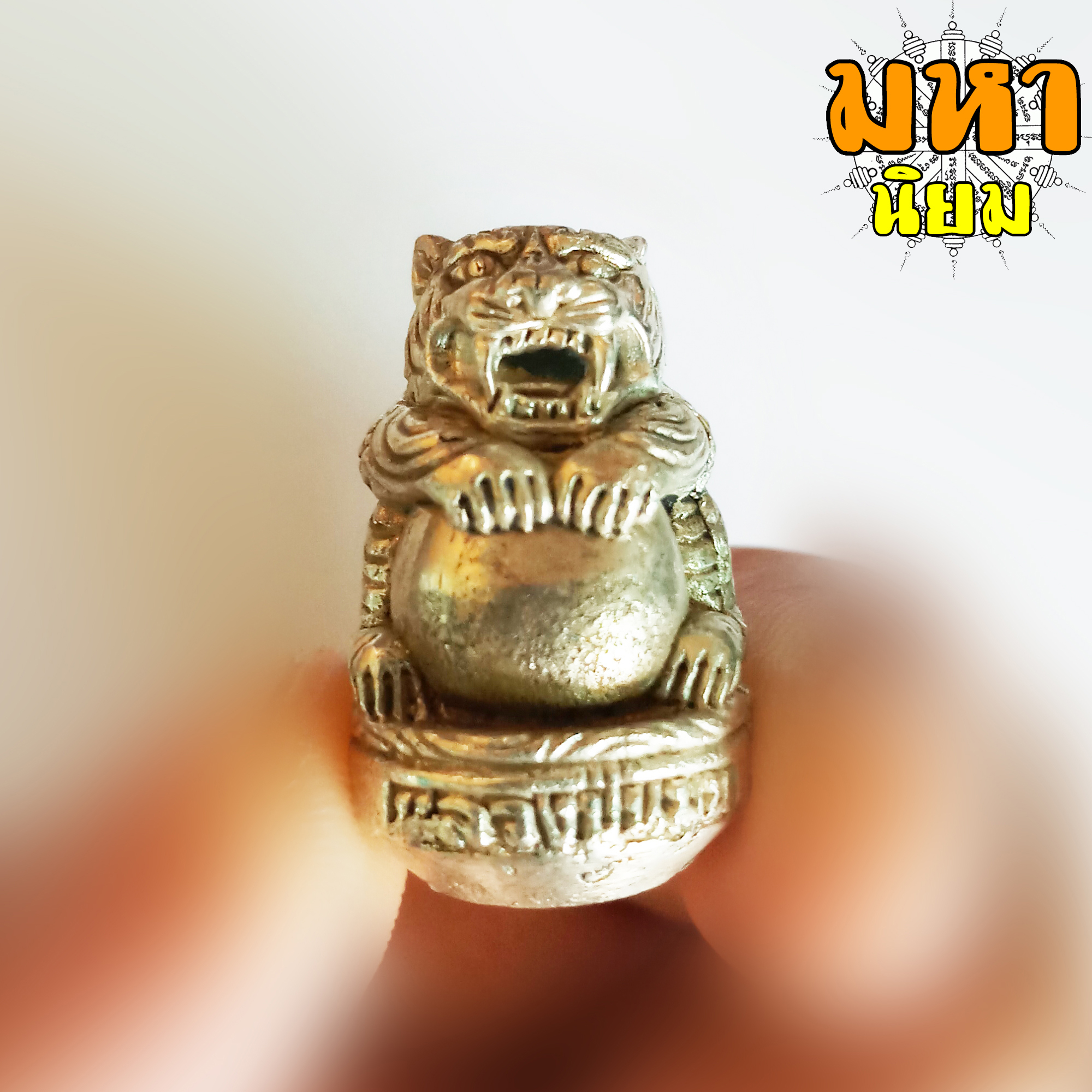 เสือเศรษฐี หลวงปู่หมุน วัดบ้านจาน จ.ศรีสะเกษ